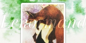 ルノルマンカード狐の意味
