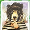 ルノルマンカード熊の意味